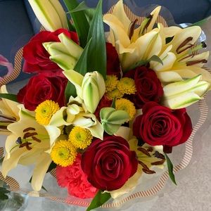 Meet your Posher, Ellie